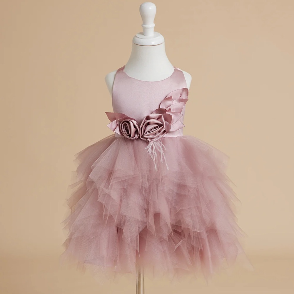 Pretty Girl Blush 1st Birthday Dress